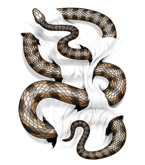 Twisted Snake